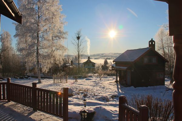 Mysigt Härbre - Bild 10