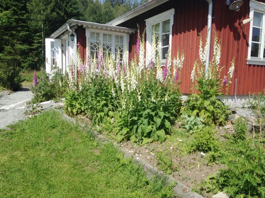 Sommarvilla på landet vid Varekil/Orust | SE09062 - Bild 13