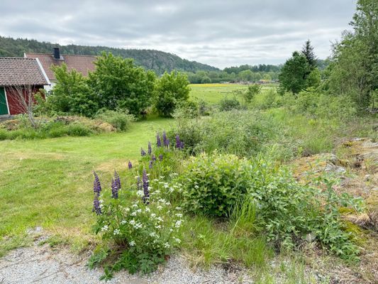 Sommarvilla på landet vid Varekil/Orust | SE09062 - Bild 16