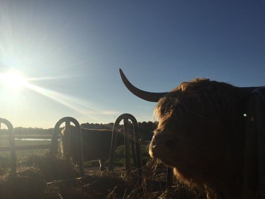 Stuga med vedeldad bastu och Jacuzzi - Bild 9