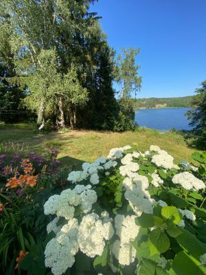 Lake House; Koppla av i naturen, djurvänligt - Bild 6