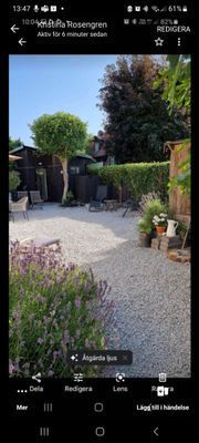 Visby innerstad, Gotland, Hund ok! - Bild 7