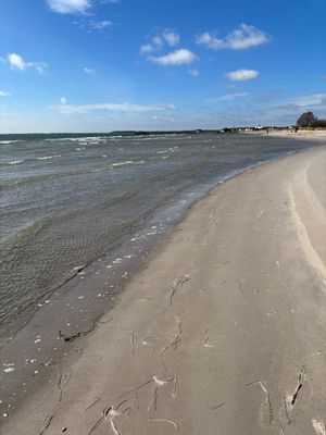 Stuga på stranden i Herta på Sydöstra Gotland - Bild 7
