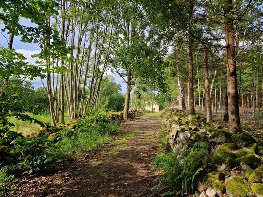 Semesterboende på Linderödsåsen, Hörby Kommun - Bild 11