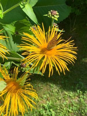 Sommarhus i Möklinta - Bild 18