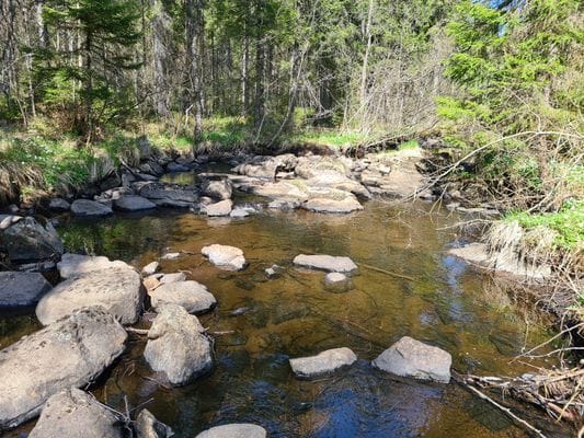 Pinebopalace – Din rofyllda oas mitt i naturen - Bild 16