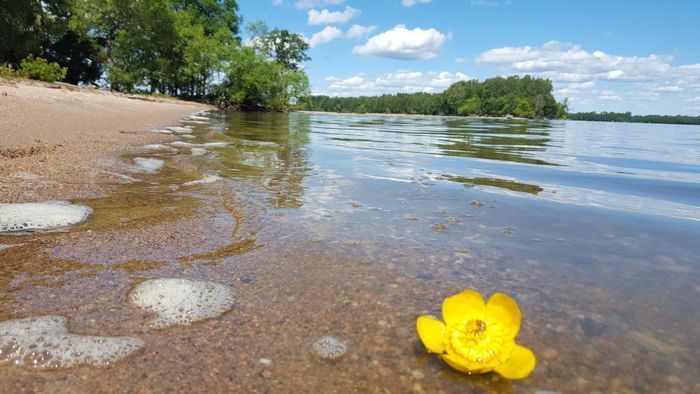 Ett vackert naturreservat norr om Kalvön, "Fåran"