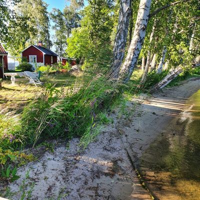 Sjötomt på egen Ö - Bild 31