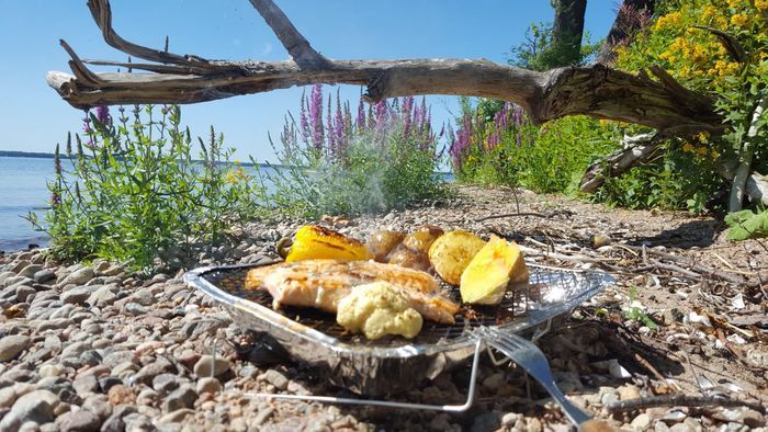 Utflykt till en närbelägen ö