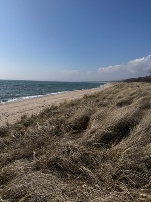 Stuga 100 m från havet i lugna Nybrostrand (Ystad) - Bild 15
