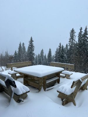 Bild 4 på Mysig, öppen lägenhet med bastu, nära skidbacken