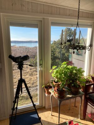 Del i parhus Åsa, Halland - Bild 14