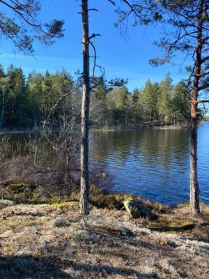 Stuga Rosendal - Bild 13