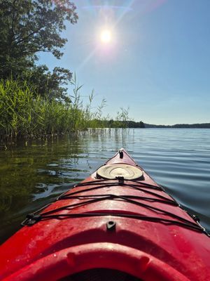 Enkel skärgårdsstuga med sjötomt och egen brygga. - Bild 21