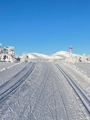 Mysigt Parhus i Bruksvallarna vid skidspår - Bild 24