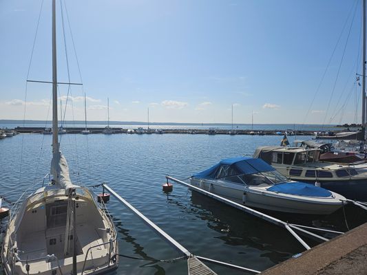 Sommarboende på halvö nära vatten - Bild 9