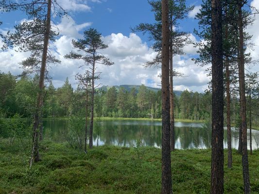 Välplanerad stuga i Ljusnedal - Bild 17