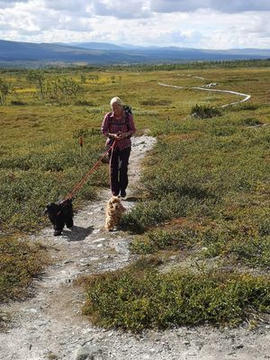 Välplanerad stuga i Ljusnedal - Bild 14