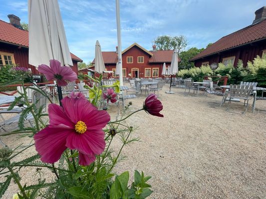 Stuga nära hav & natur på Tjörn | SE09143 - Bild 19