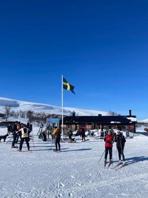 Mysigt Parhus i Bruksvallarna vid skidspår - Bild 27