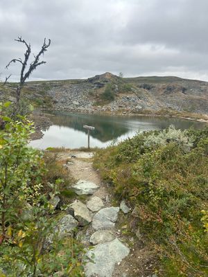 Mysigt Parhus i Bruksvallarna vid skidspår - Bild 30