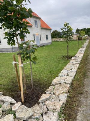 Gotländskt stenhus med havsutsikt - Bild 15