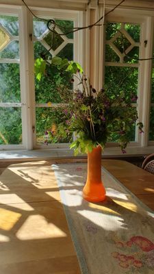 Villa Blåregnet - Bild 19