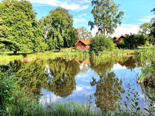 Stuga nära hav & natur på Tjörn | SE09143 - Bild 18