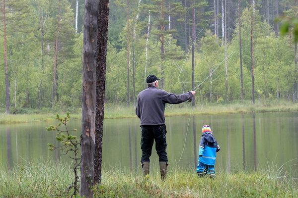 Bekväma torpet i Sjö, fint hus med enskilt läge - Bild 47
