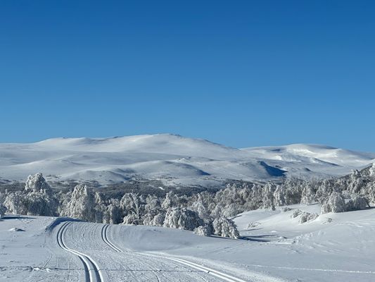 Magisk panorama utsikt (830möh) - söderläge - Bild 27