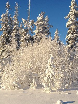 ⭐️ REA-Låga Sommarpriser och Vinter 2026, SÄLEN - Bild 41