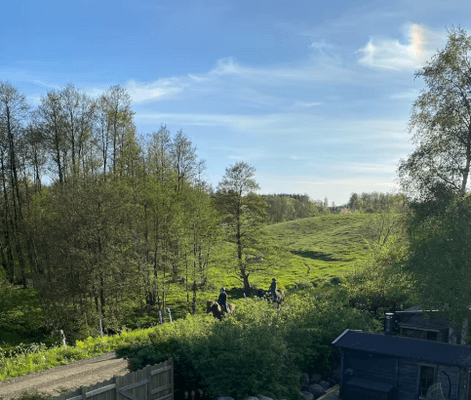 Österlen: 8 bäddar, uppvärmd pool, bastu, stränder - Bild 19