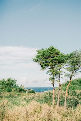 Stort hus vid havet 1 mil norr om Visby - Bild 13