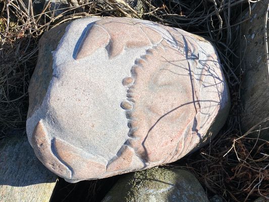 Krabban - konst på badplatsen