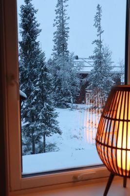 Fönster från Sovrum #2