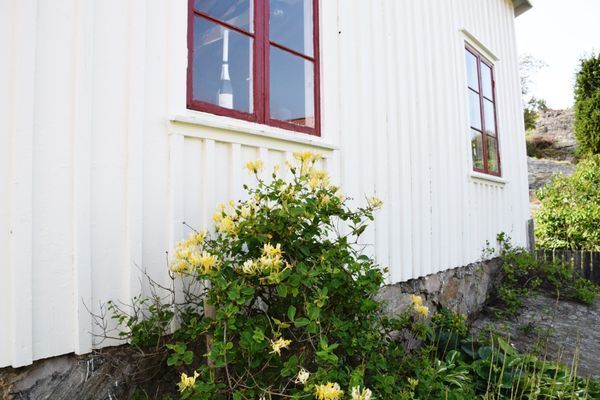 Stort hus nära havet i Skärhamn | SE09149 - Bild 32
