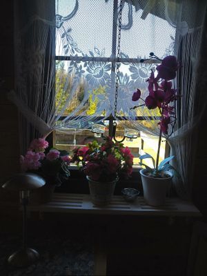 Övernattning Stuga - Bild 7