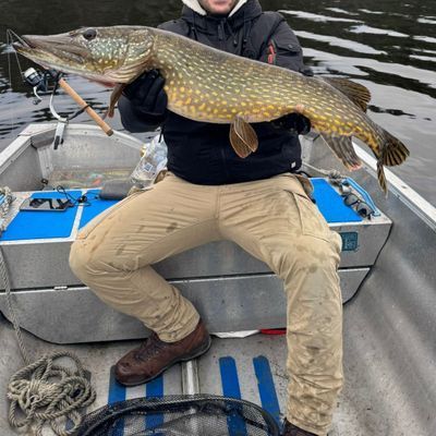 Här saktar tiden ner – din drömstuga vid vattnet - Bild 48