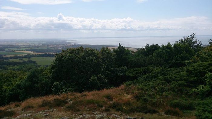 Stuga i Strandbaden nära Kullen och Höganäs - Bild 17