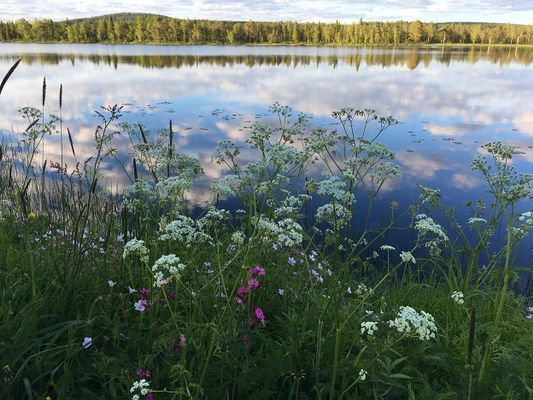 Sommarkväll vid sjön.