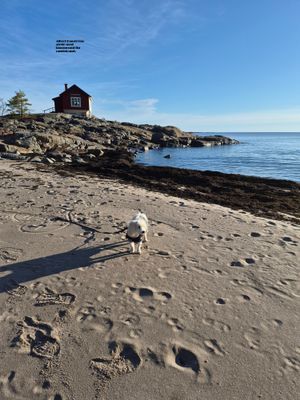 Havsnära fritidshus i Grisslehamn, 10-personer. - Bild 34