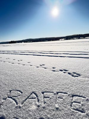 Modern Stuga med sjöutsikt, spa anläggning - Bild 69