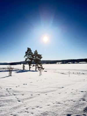 Modern Stuga med sjöutsikt, spa anläggning - Bild 68