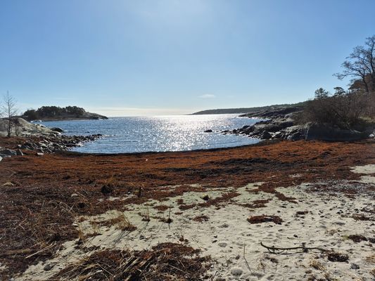 Havsnära fritidshus i Grisslehamn, 10-personer. - Bild 33