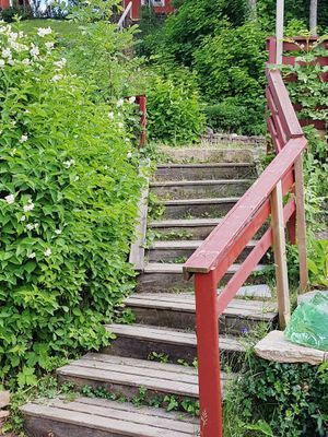 Trappa ner till stuygan