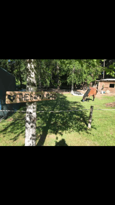 Slowcation i stuga på landet med grillkåta - Bild 8