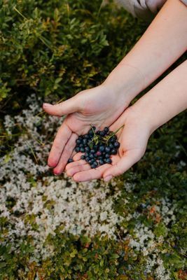 Här saktar tiden ner – din drömstuga vid vattnet - Bild 55