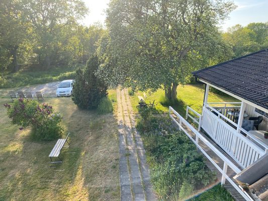 Bilder från trädgården