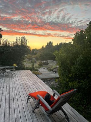 Exklusivt hus med många möjligheter - Bild 7