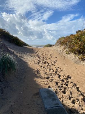 Bild 4 på Skrea strand Falkenberg